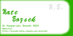mate bozsek business card