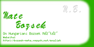 mate bozsek business card